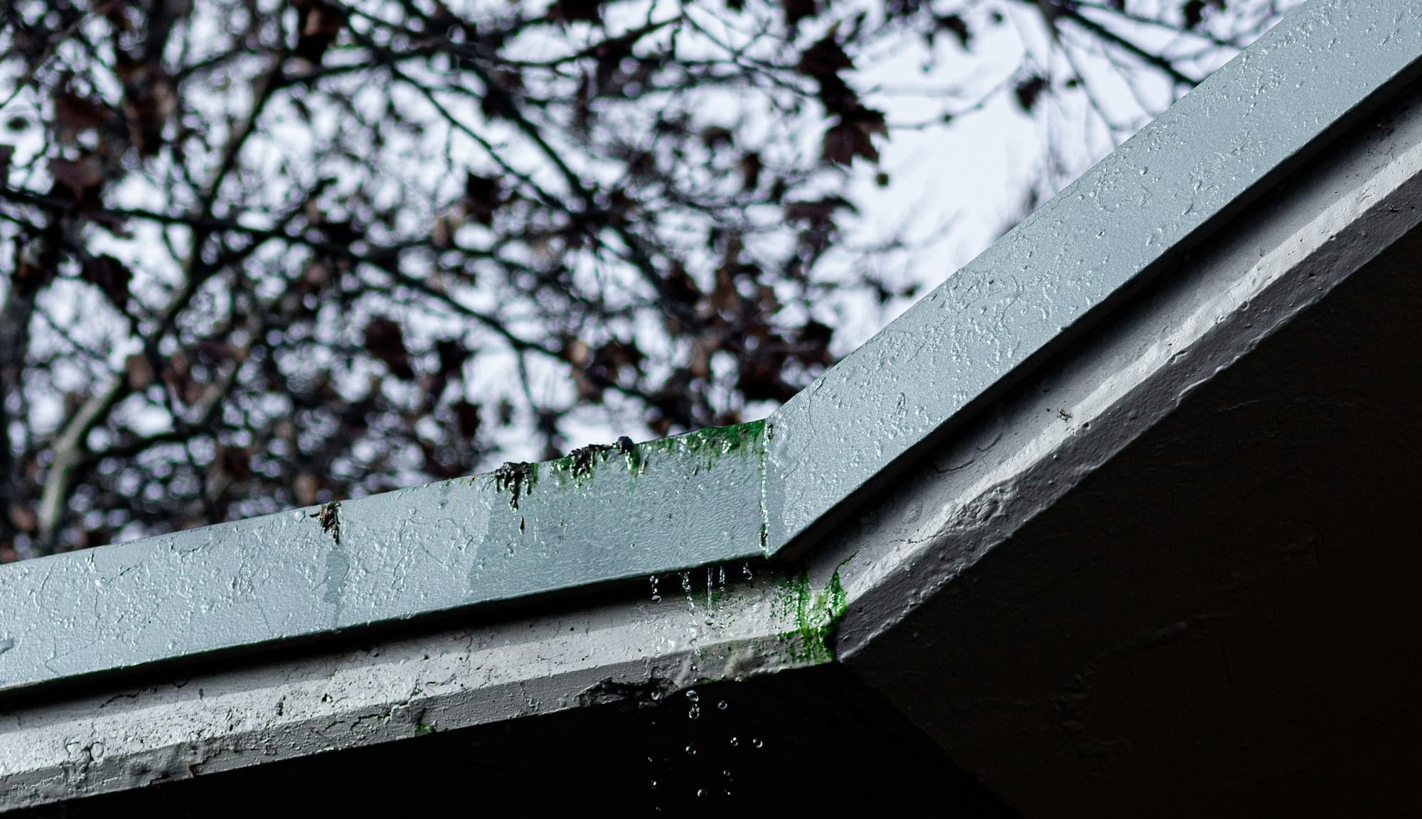 a bird is perched on the roof of a building